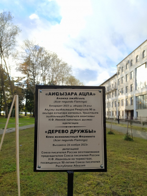 "Дерево дружбы"