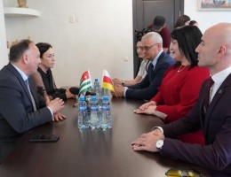 Даур Кове принял у себя министра культуры РЮО Радмилу Дзагоеву