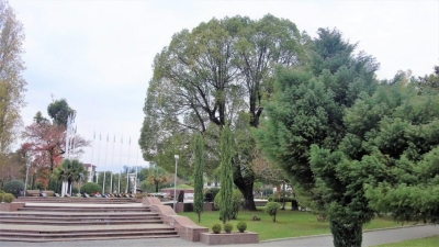 В Минкульте прошло заседание Государственной комиссии Республики Абхазия по монументальному искусству